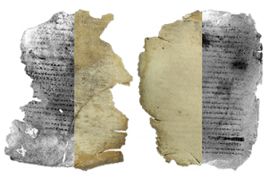 Ordinary photograph and multispectral imaging result.