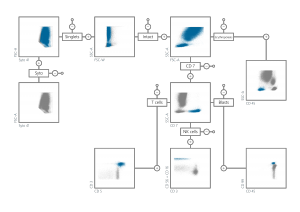 t-all-gating-hierarchy